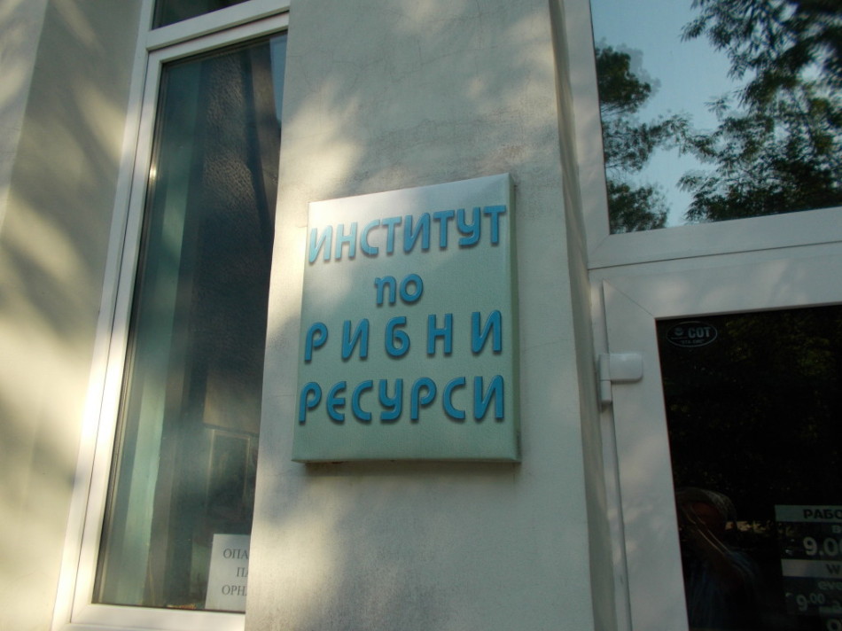 Аквариум Варна Аквариум Варна