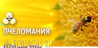 Выставка Пчеломания 2016 пройдет в Добриче
