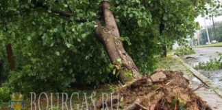 В болгарском городе Русе устраняют последствия урагана