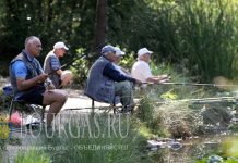 5 августа 2016 года, Болгария, София, рыболовы спасаются от жары в Южном парке