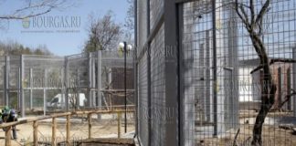 Зоопарк в Софии реконструируют по евро-стандартам