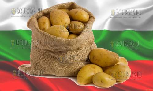 Цены на картофель в Болгарии вырастут