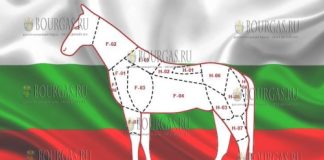 экспорт конины из Болгарии