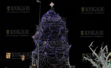Рождественская елка в Варне 2017