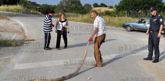 питон на дороге в Болгарии