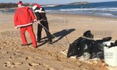 Деды Морозы убрали мусор с пляжа Аркутино