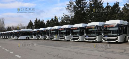 В Софии на маршруты 30 новых муниципальных автобусов