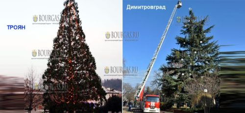 Болгарский город Димитровград смог обойти Троян в заочном споре - у кого выше новогодняя ель