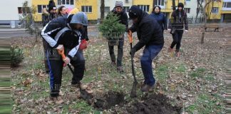 В Бургасе появится Рождественский бор