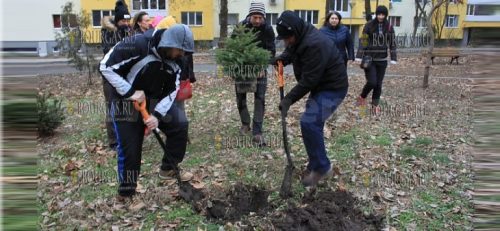 В Бургасе появится Рождественский бор
