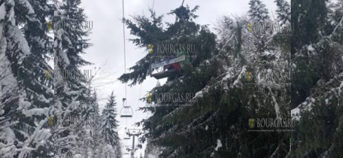 На подъемник на горнолыжном курорте Пампорово в Болгарии упало дерево