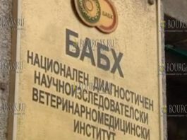 Агентство по безопасности пищевых продуктов в Болгарии