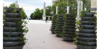 Флористы вышли на работу в центре Варны