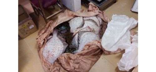 На Северо-Востоке Болгарии задержали браконьеров