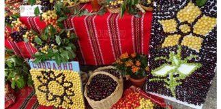 Фестиваль черешни в Кюстендиле