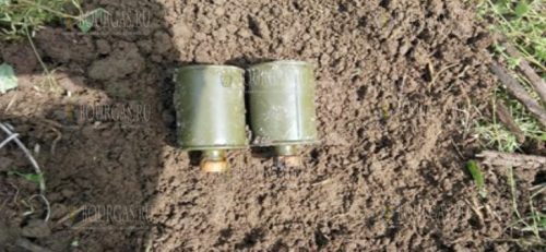 Грибники в Болгарии нашли в местности Манавка две боевые гранаты