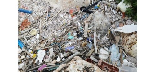 Волонтеры чистят пляжи в Бургасской области