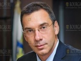Димитар Николов