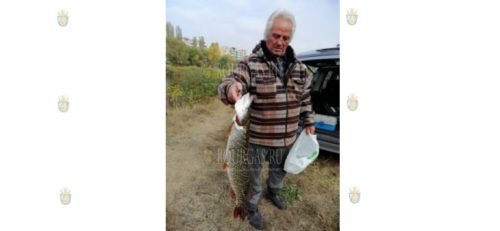 7-килограммовую щуку вытащил из Марицы пенсионер Илия