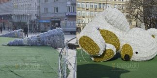 Сильный ветер не пощадил праздничного убранства Варны