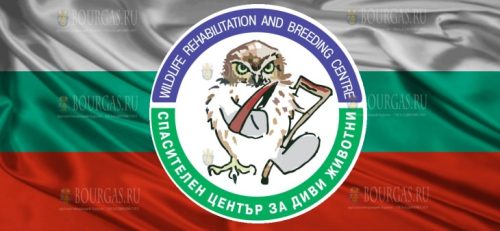 Центр спасения дикой природы в Стара Загора