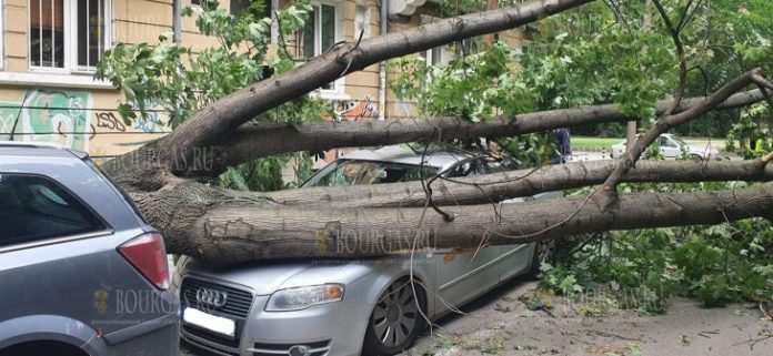 последствия бури в Софии