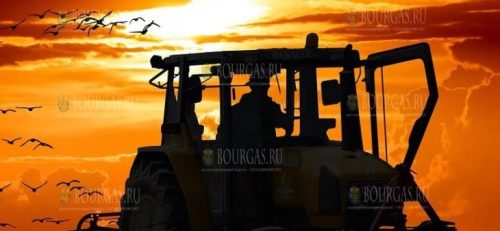 В Болгарии начался сев озимой пшеницы