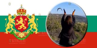 В Спасательном центре в Варне спасли две хищные птицы