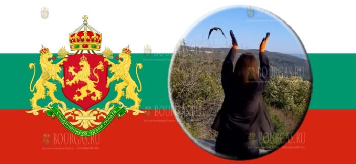 В Спасательном центре в Варне спасли две хищные птицы