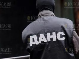 сотрудники ДАНС