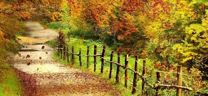 Болгария сентябрь