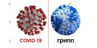 Как отличить обыкновенный грипп от коронавируса