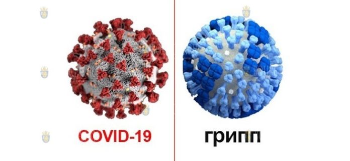 Как отличить обыкновенный грипп от коронавируса