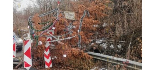 Яму на дороге в Болгарии украсили, поместив в нее елку