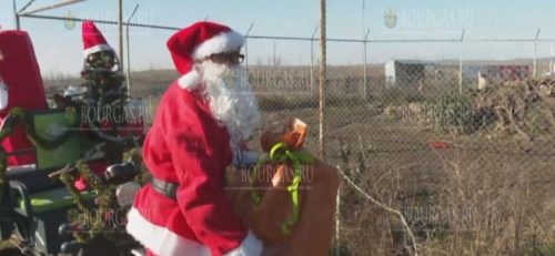 Животные в зоопарке Бургаса получили подарки от Деда Мороза
