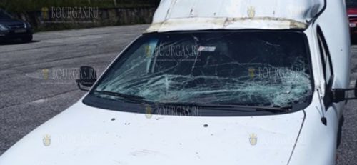 Дерево упало на автомобиль на трассе Пампорово-Смолян