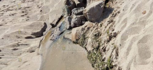 На пляже в Созополе море сегодня грязное