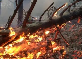 Пожар в горах Сакар