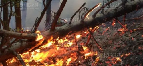 Пожар в горах Сакар