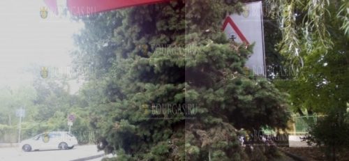 Рядом со школой в Варне прячется невидимый дорожный знак
