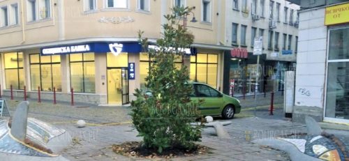 Высадка молодых деревьев в Бургасе продолжается