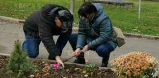 В Морском саду Бургаса создана Писательская аллея