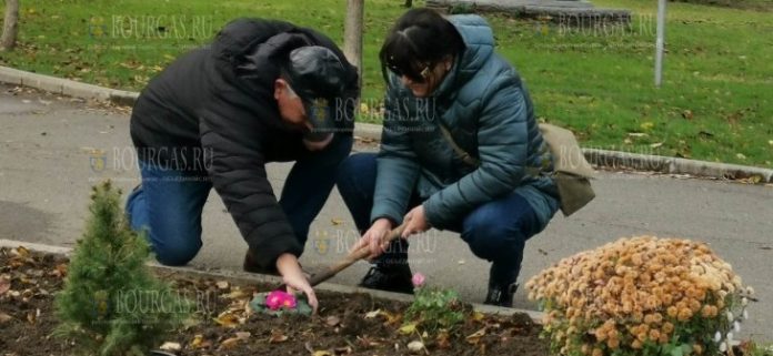 В Морском саду Бургаса создана Писательская аллея