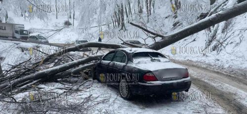 На перевале Шипка на авто упало дерево