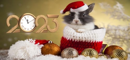С Новым 2023 годом!
