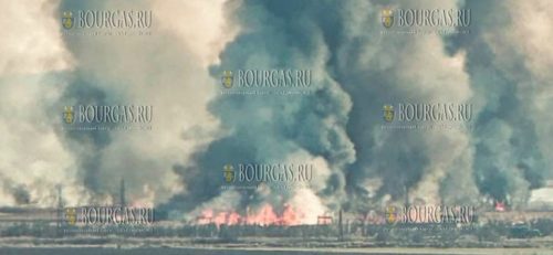 Шокирующие кадры пожара в районе Бургаса