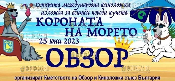 Международная выставка собак пройдет в Обзоре