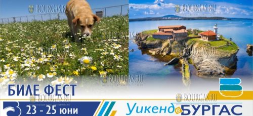 В Бургасе пройдет Биле фест