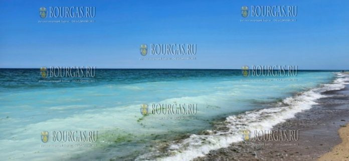 море в районе Шаблы