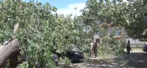 Буря в Симеоновграде